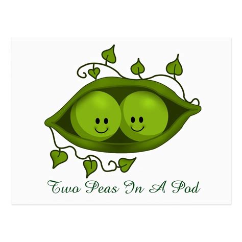 Two Peas In A Pod Postcard Vegetable Drawing Cute