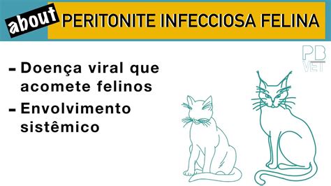 Pif Peritonite Infecciosa Felina Youtube