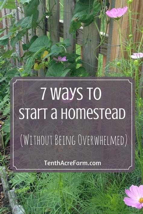 7 Ways To Start A Homestead Without Being Overwhelmed Artofit