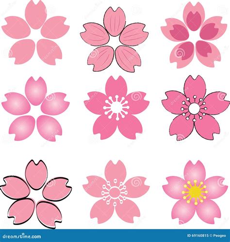Pink Cherry Blossom Flower Set Vector With Many Style Include D Stock