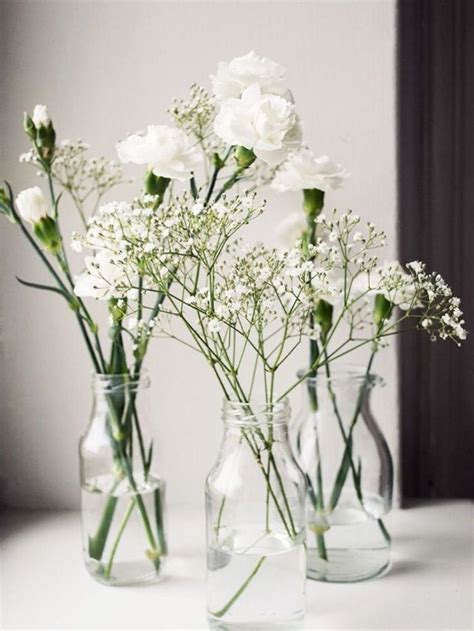 Florist advice for buying gypsophila flowers. Simple babies breath and mini carnation bud vase ...