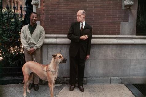 Photography Legend Joel Meyerowitz Phones Killed The Sexiness Of The