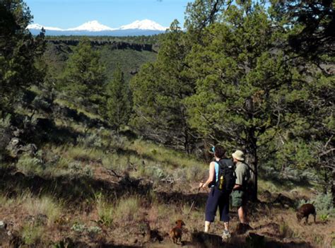 Cascade Ramblings Ramblings Scout Camp Trail Hike Middle Deschutes