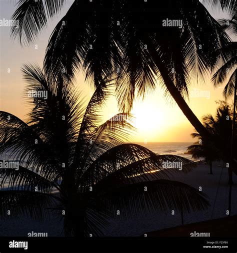 Caribbean Sunset Barbados Hi Res Stock Photography And Images Alamy