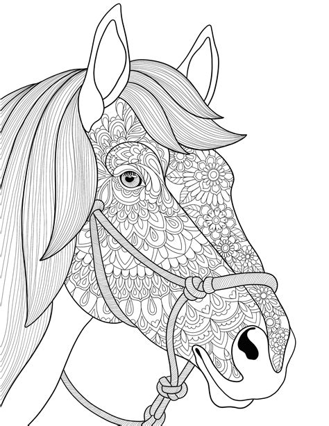 Mandala Horse Adult Coloring Colouring In Coloring Pages Etsy