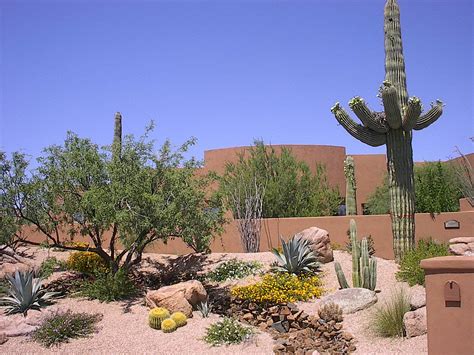 Landscaping Ideas Arizona Desert