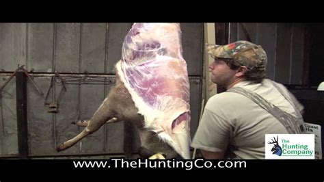 The Easiest And Quickest Way To Skin A Deer Youtube