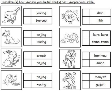 Haiwan Interactive Worksheet Kindergarten Assessment Free