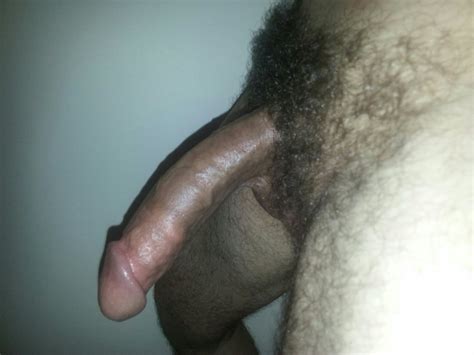 My Hairy Dick Photo Album By Denizmmm69