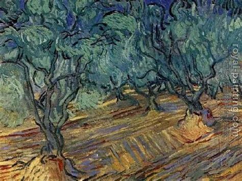 Olive Grove Bright Blue Sky By Vincent Van Gogh Oil Painting