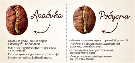 Кава арабіка і робуста в чому різниця між ними Coffee Story