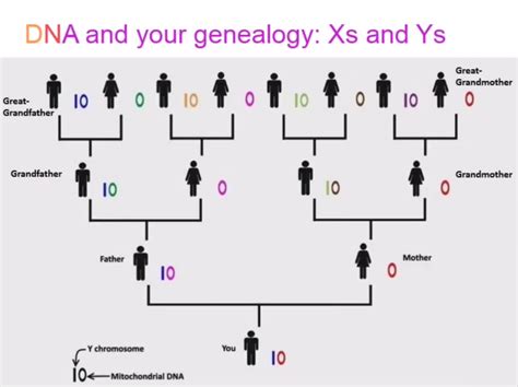Pin on Genealogy Research