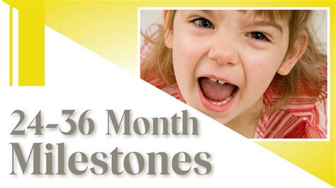 24 36 Month Milestones Toddler Pack Tp 0115 Brightcourse