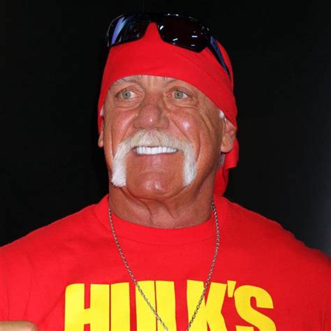 Hulk Hogan Wins Big In Sex Tape Court Battle Drum