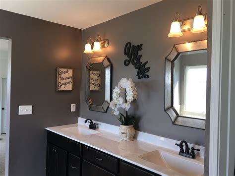 Looking for some paint color or project ideas for your next do it yourself project? Sherwin Williams Mink bathroom. | Bathroom colors ...