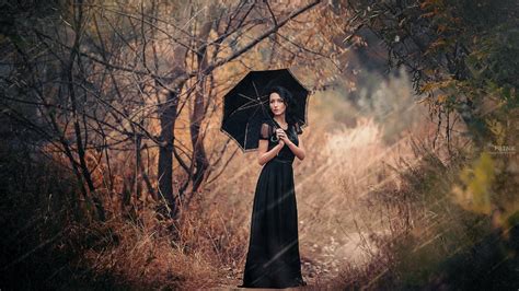 Картинки девушка с зонтом осень деревья дождь обои 1920x1080 картинка №149870