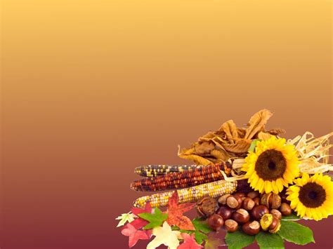 Give Thanks Wallpapers Top Free Give Thanks Backgrounds Wallpaperaccess