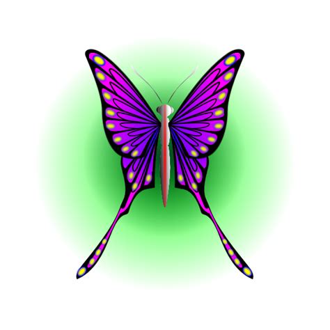 Purple Butterfly-1576141447 | Free SVG