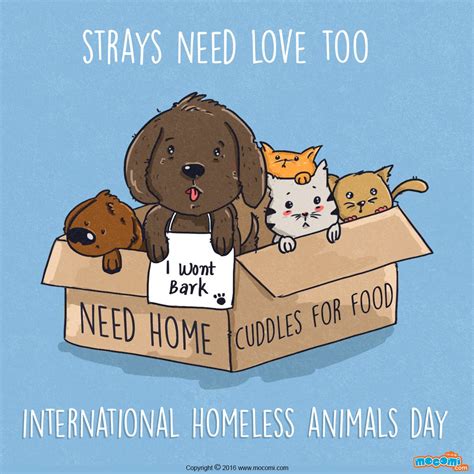 International Homeless Animal Day Pictures Yahoo Image Search Results