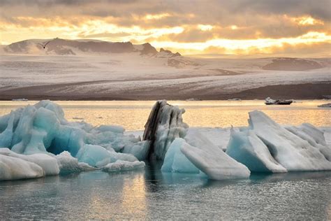 Glacier Lagoon Small Group Tour From Reykjavik 2024