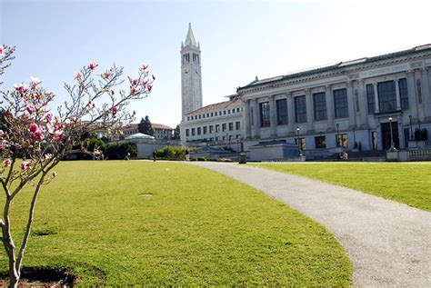 Uc Berkeley Papers Columnist Details Her Campus Sex Romps In Public