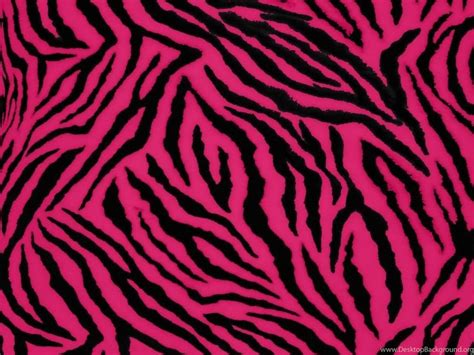 Pink And Black Zebra Wallpapers Top Free Pink And Black Zebra