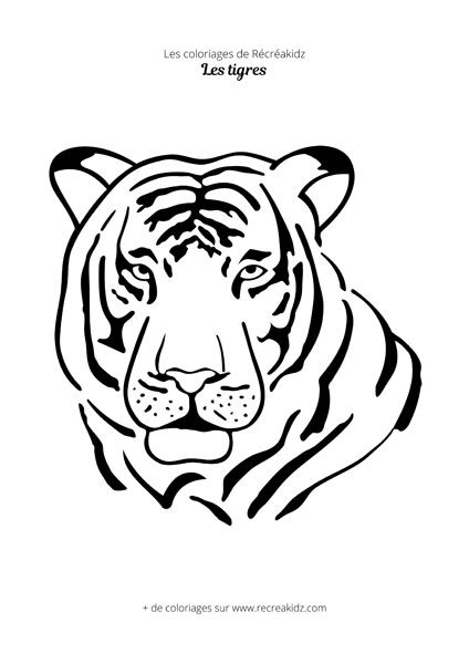 Coloriage Tigre Mignon Dessin Colorier Imprimer En Pdf