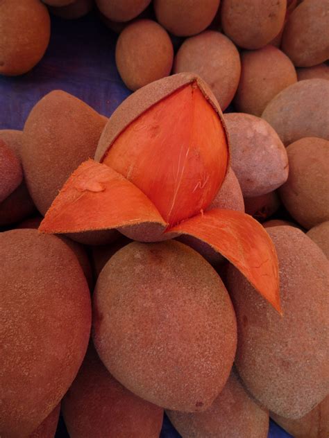 Mamey Apple Of The Caribbean Exotic Food Exotic Fruit Tropical