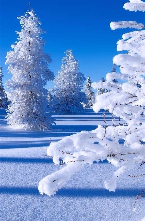 Beautiful Winter Scenes Beautiful Nature Pictures Beautiful