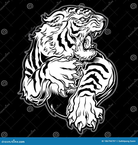 Animais Com Tigre Raivoso Desenhando Na Ilustração Do Vetor Preto De