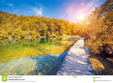 Lake With Turquoise Water Stock Photo Image Of Amazing 90025576