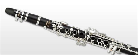 Ycl 681 Overview Clarinets Brass And Woodwinds Musical