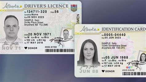 Race On Alberta Drivers Licences Ctv News