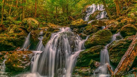 Waterfalls In The Forest Hd Nature Wallpapers Hd