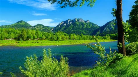 River Dunajec Poland Summer Landscape Mountains With Forest Green Grass