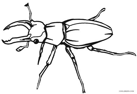 Bugs And Insects Coloring Pages Sketch Coloring Page