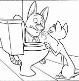 Toilet Coloring Flush Cat Template Getcolorings sketch template