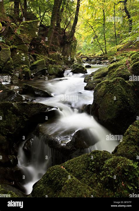 River Flowing Through An English Woodland Stock Photo Alamy