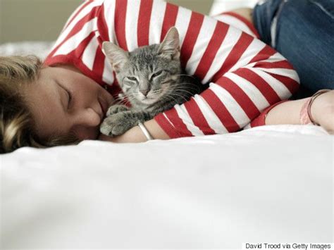 11 reasons your crazy cat obsession makes you happier and healthier loca de los gatos fotos
