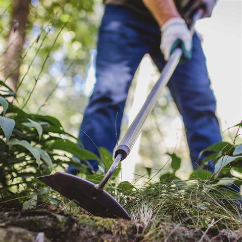 Weeding 101 How To Weed Your Garden