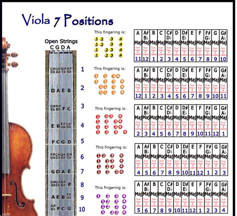 Viola 7 Hand Positions Small Chart Improvise In Any Key Ebay