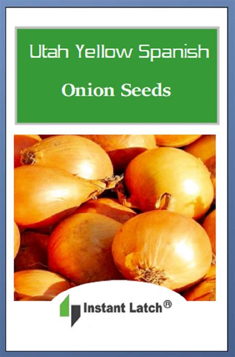Utah Yellow Sweet Spanish Onion Seeds Non Gmo Heirloom Fresh Gar