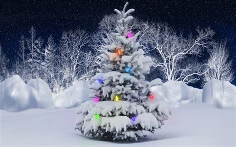 This Snow Covered Christmas Tree Stands Out Brightly Against The Dark