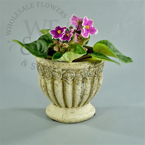 Plants for small pots are perfect for areas of the country that are prone to heat and dry spells. Distressed Clay Flower Pot - Small - Wholesale Flowers and ...