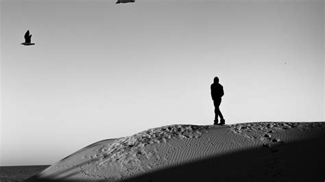 Wallpaper Lonely Loneliness Desert Bw Hd Picture Image