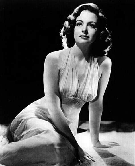 Donna Reed Donna Reed Old Hollywood Stars Classic Film Stars