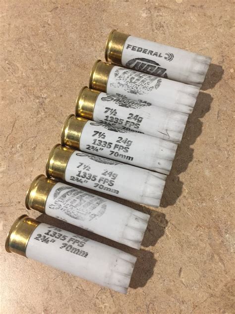 White Shotgun Shells 12ga Hulls Used Shotshells Empty 12 Gauge Casings