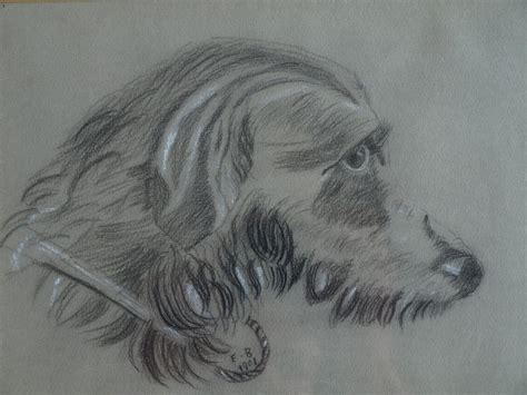 Klik op het tabblad invoegen in de groep illustraties op vormen. Initialen E. B. : Tekening , Hond - ingelijst - 1901 verkocht! Bekijk de veilingopbrengst.