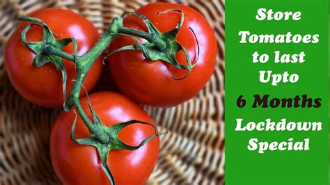 Best Way To Store Tomatoes For Months4 Easy Tomato Preservation Tips