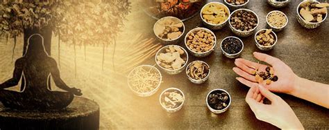 Doshas Na Ayurveda Entenda Como Funciona Sri Sri Ayurveda Blog